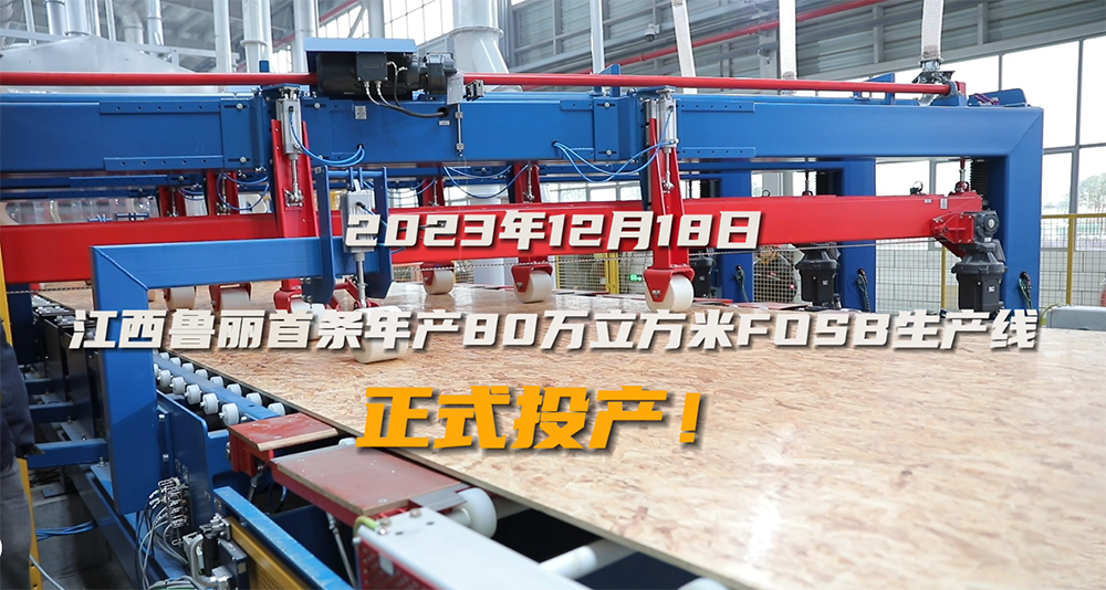 江西betway唯一官方网站首条年产80万立方米FOSB生产线正式投产